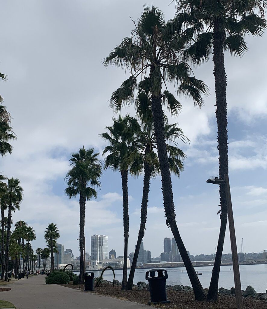Cyclist biking around Coronado Island coastal path
