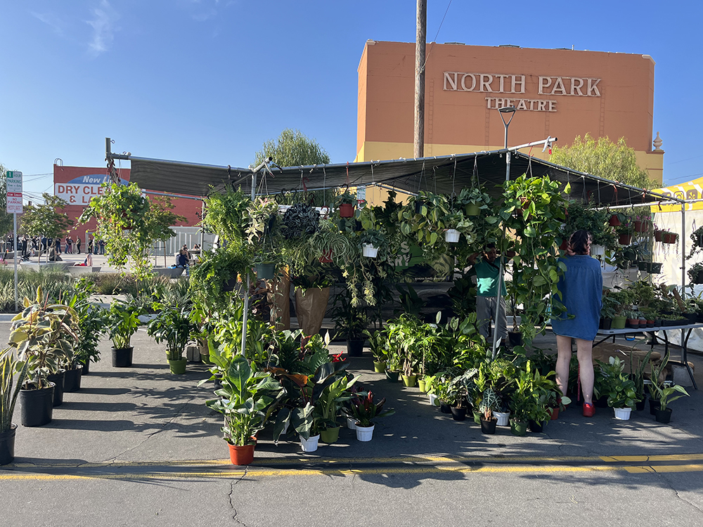 Plant vendor at the North Park Farmers Market