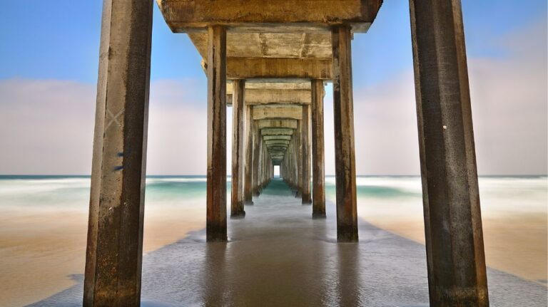Under Scripps Pier in La Jolla